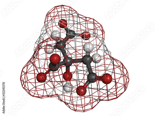 Citric acid, molecular model photo