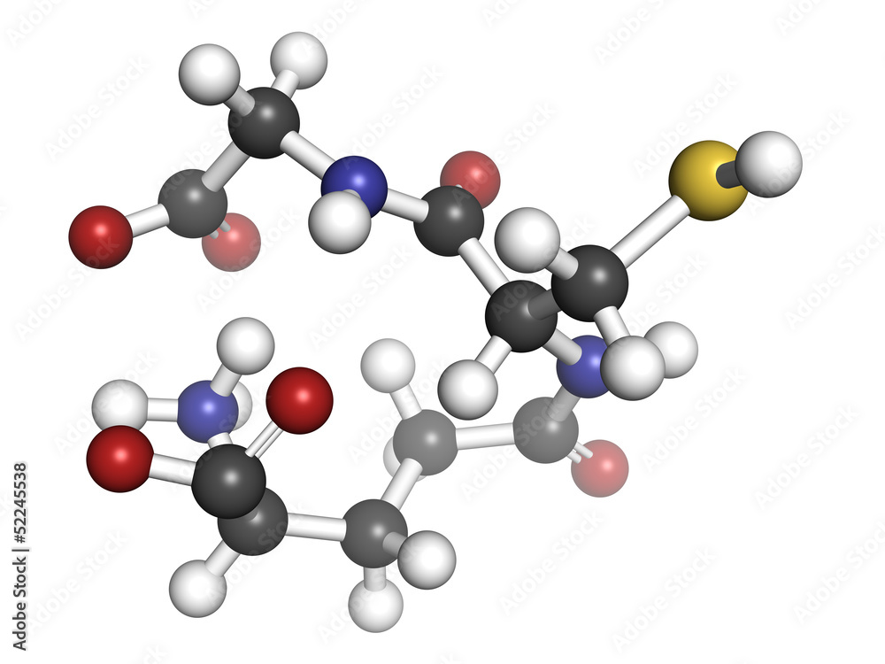 Glutathione antioxidant, molecular model