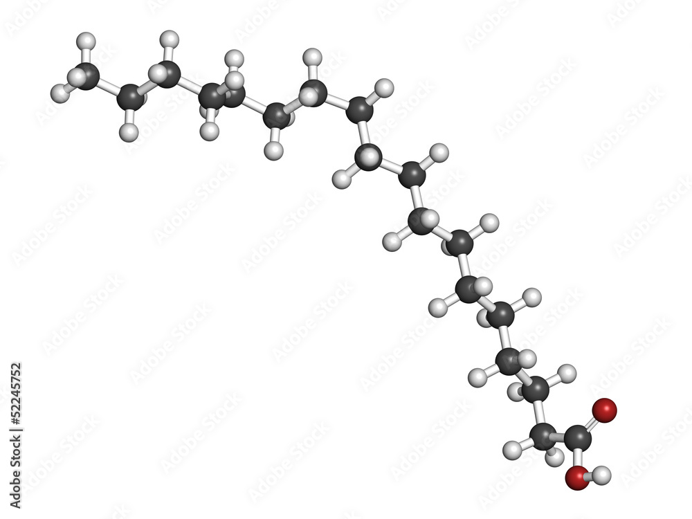 Stearic acid saturated fatty acid, molecular model Stearic acid saturated fatty acid, molecular model