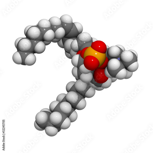 Palmitoyloleoylphosphatidylcholine (POPC) cell membrane building