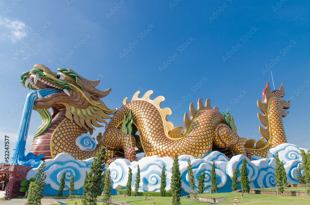 Fototapeta premium Colorful Dragon