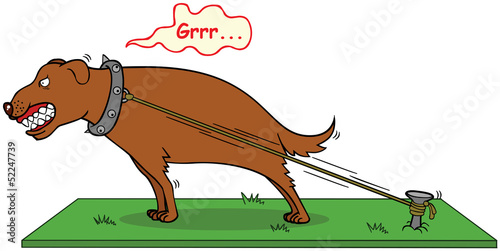 barking dog never bite