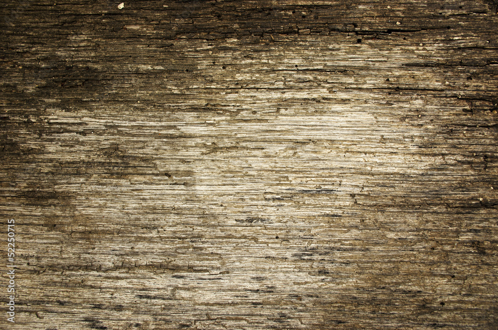 Old wood texture Old wood texture