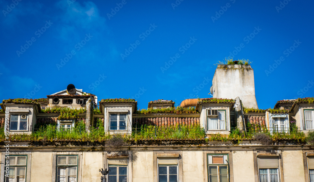 Lisbon roof