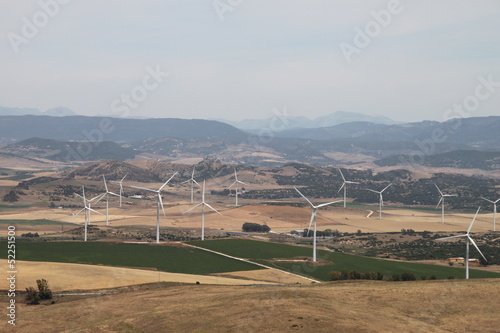 Quadro su tela Campagne andalouse, Médina-Sidonia