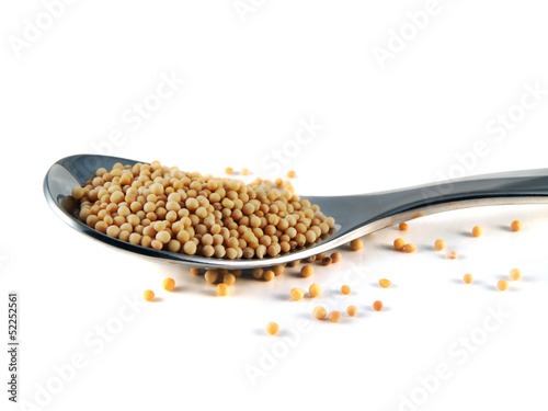 Mustard seeds on the spoon isolated on white