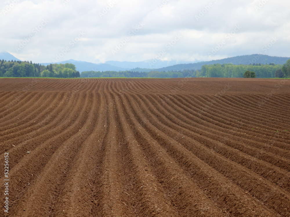 Plowed field in the front