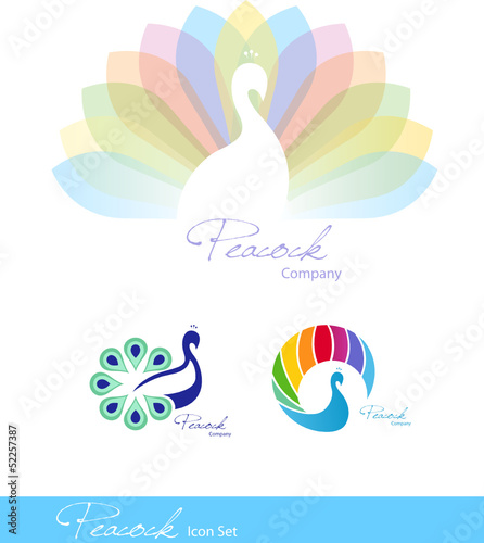 Peacock_1