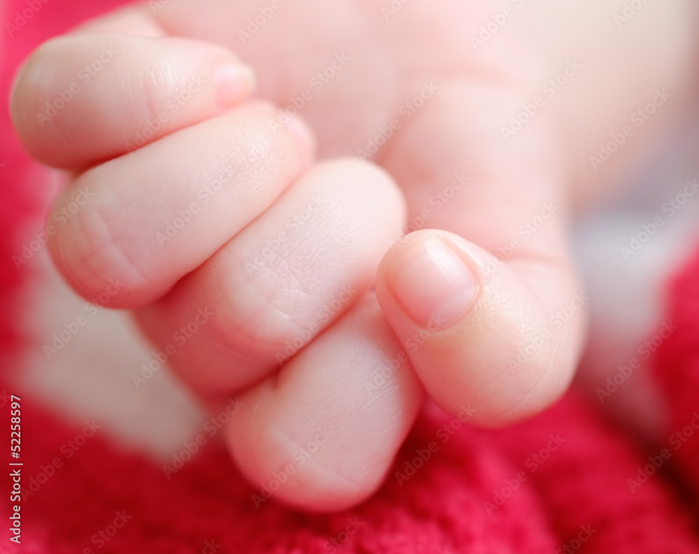 baby hand baby hand