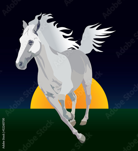 Whitehorse