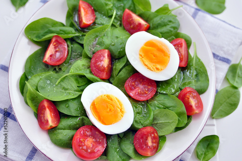Salat mit Spinat, Ei und Tomaten © A_Lein