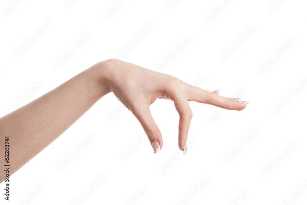 woman hand holding isolated on white woman hand holding isolated on white