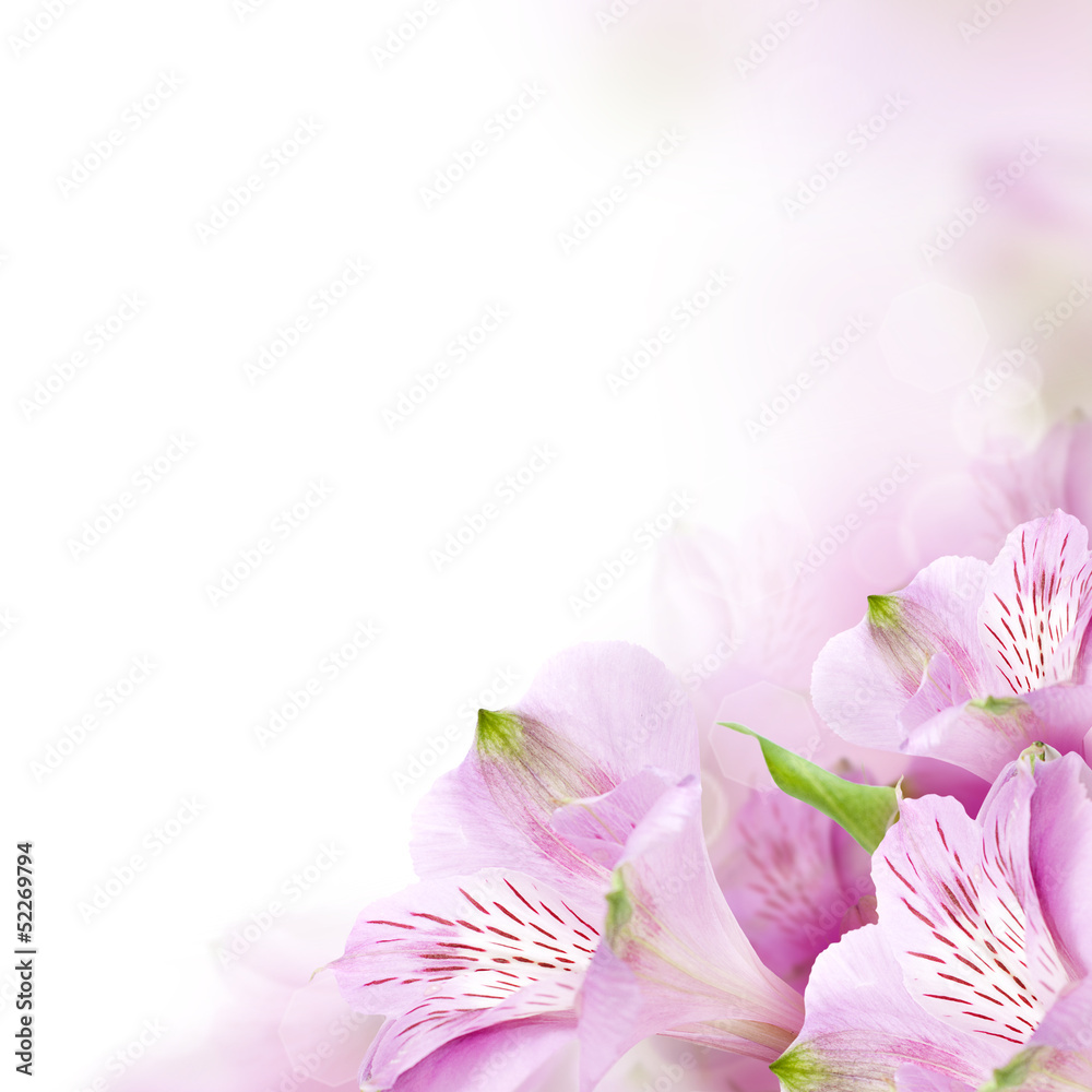 Floral border, summer blossom background