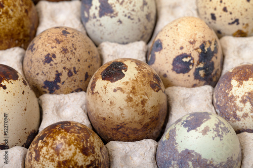Speckled quail eggs in a carton box