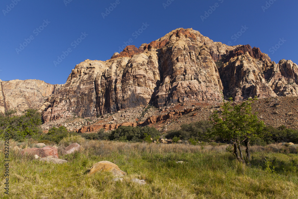 Desert mountain scene in spring.