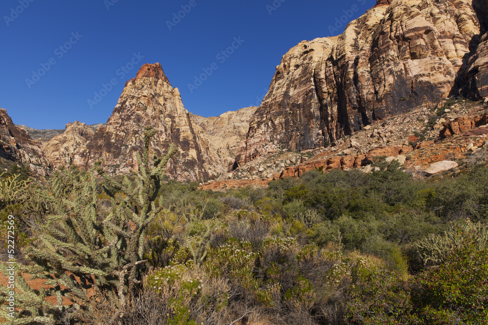 Desert landscape with a cactus and deep blue sky.