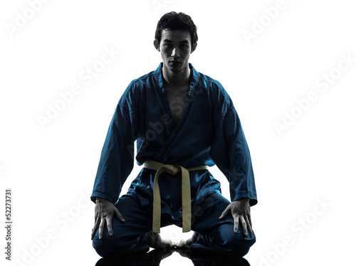 karate vietvodao martial arts man silhouette