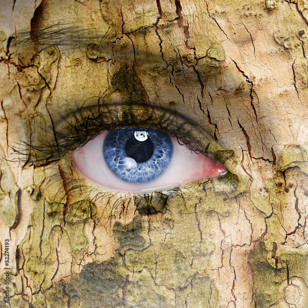 human face with an open eye covered in a tree bark texture