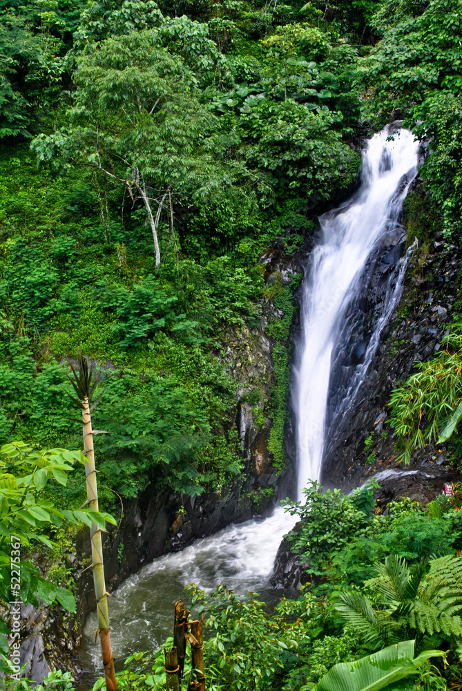 Waterfall in Bali Waterfall in Bali