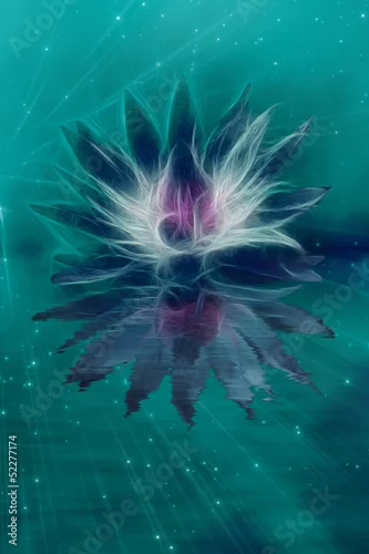 Obraz Piękna abstrakcja kwiatu lotosu