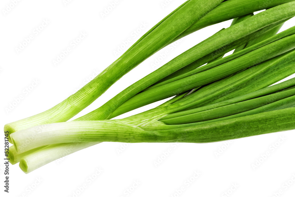 Young onion on white background. Close-Up. Isolated.