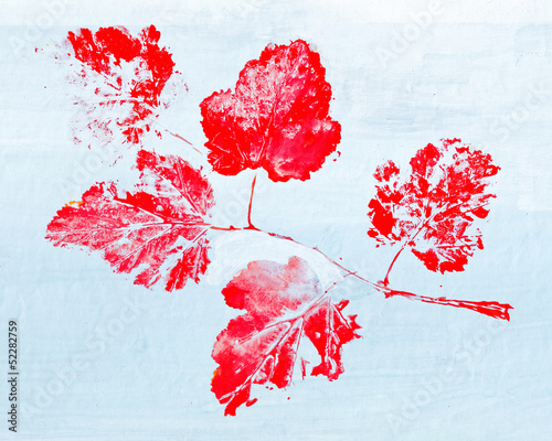 Foto monotypy with red maple leaves