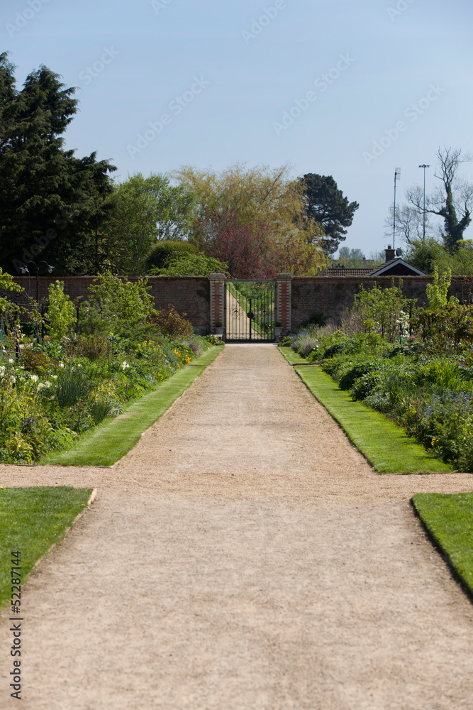 Fototapeta premium Path in a lush garden