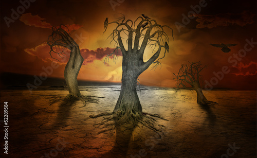 Φωτογραφία Standby trees