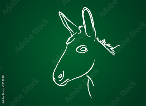 Ane - Animal de la ferme