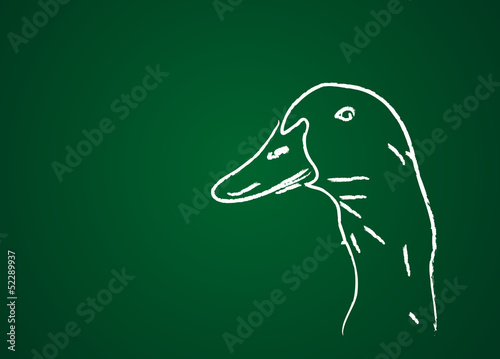 Animal de la ferme : Canard