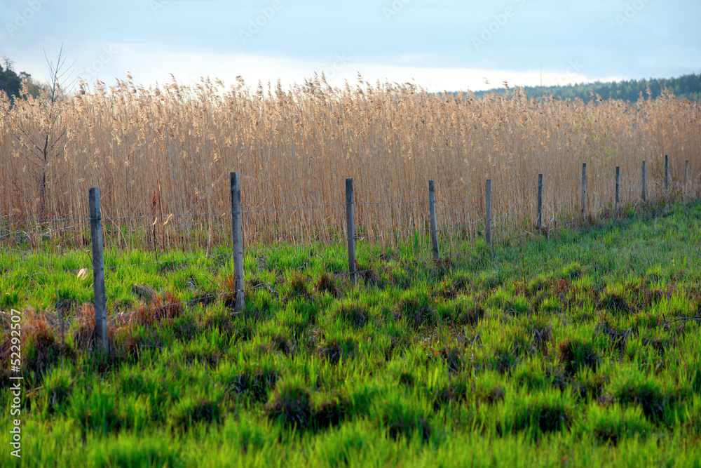 Fence in field