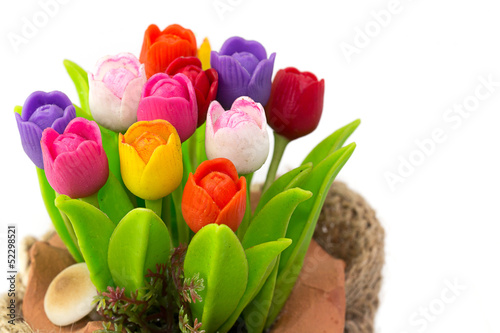 Colorful tulip on flowerpod in sack photo