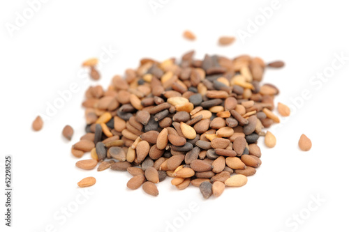 Tan Sesame Seeds Macro Isolated on White Background photo