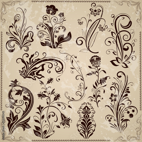 Floral vintage vector design elements