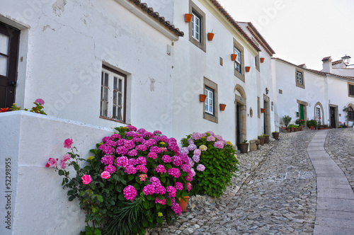 Marvao, turismo en Portugal, Alentejo, calle típica con hortensias