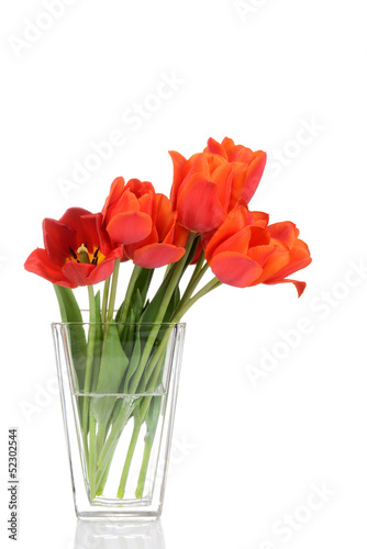 Red tulips