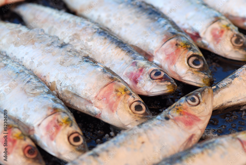 SARDINAS ASADAS A LA PLANCHA, FRESCAS, DETALLE MACRO