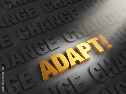 Slika na platnu Adapt to Confront Change
