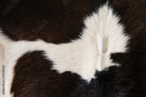 Cattle skin texture black and white pattern