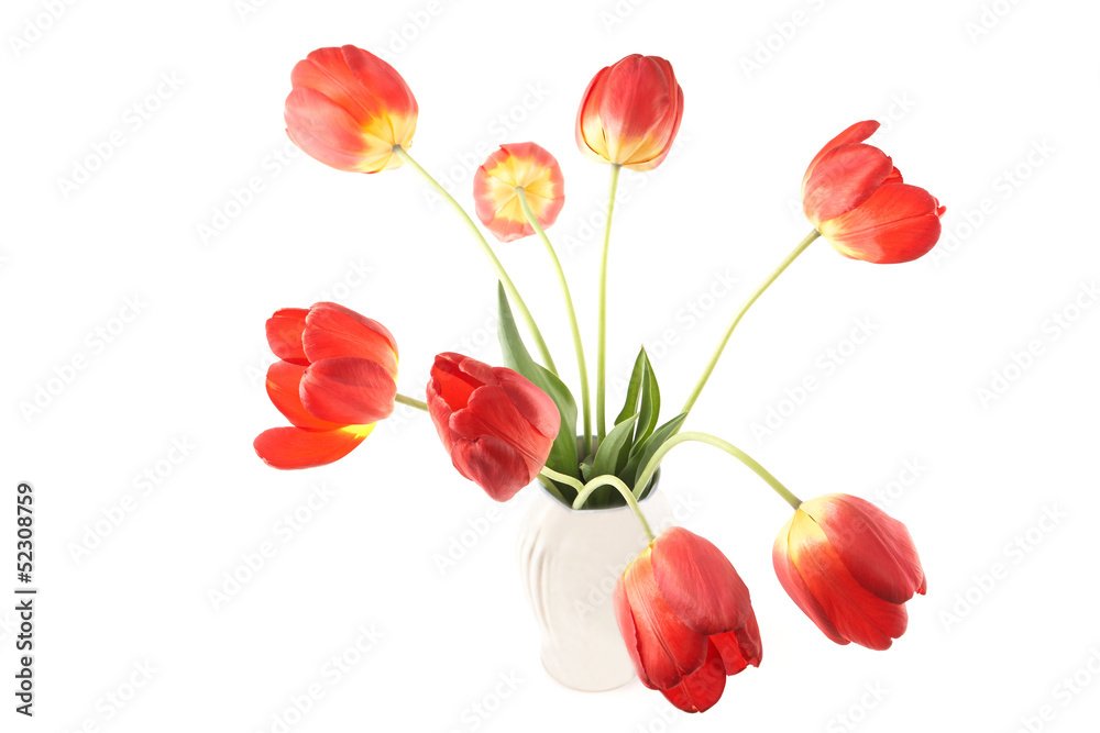 Tulips in a Vase Tulips in a Vase