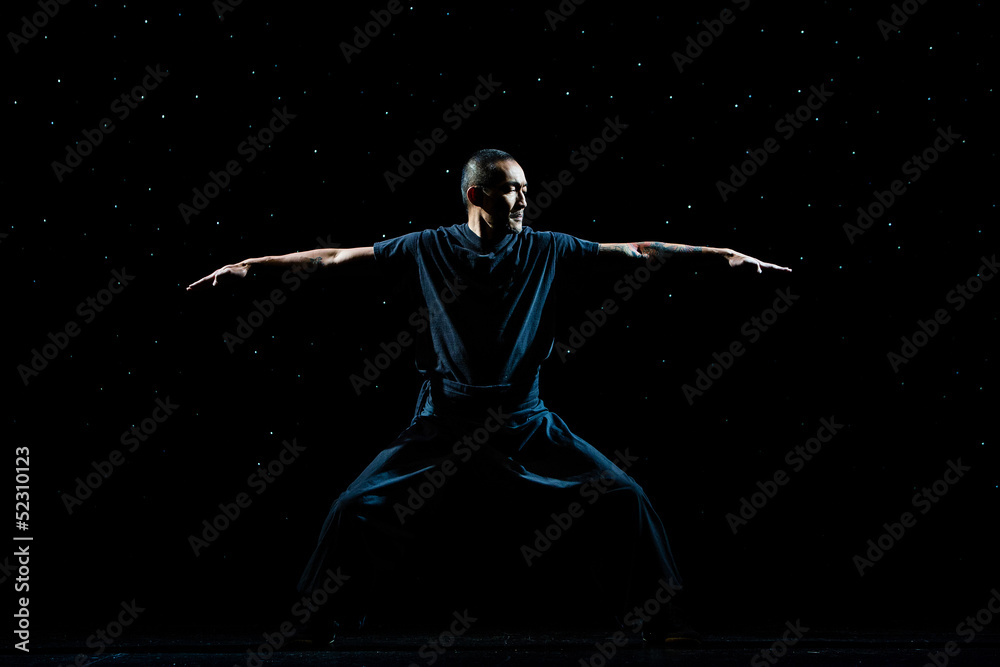Obraz premium Kung Fu