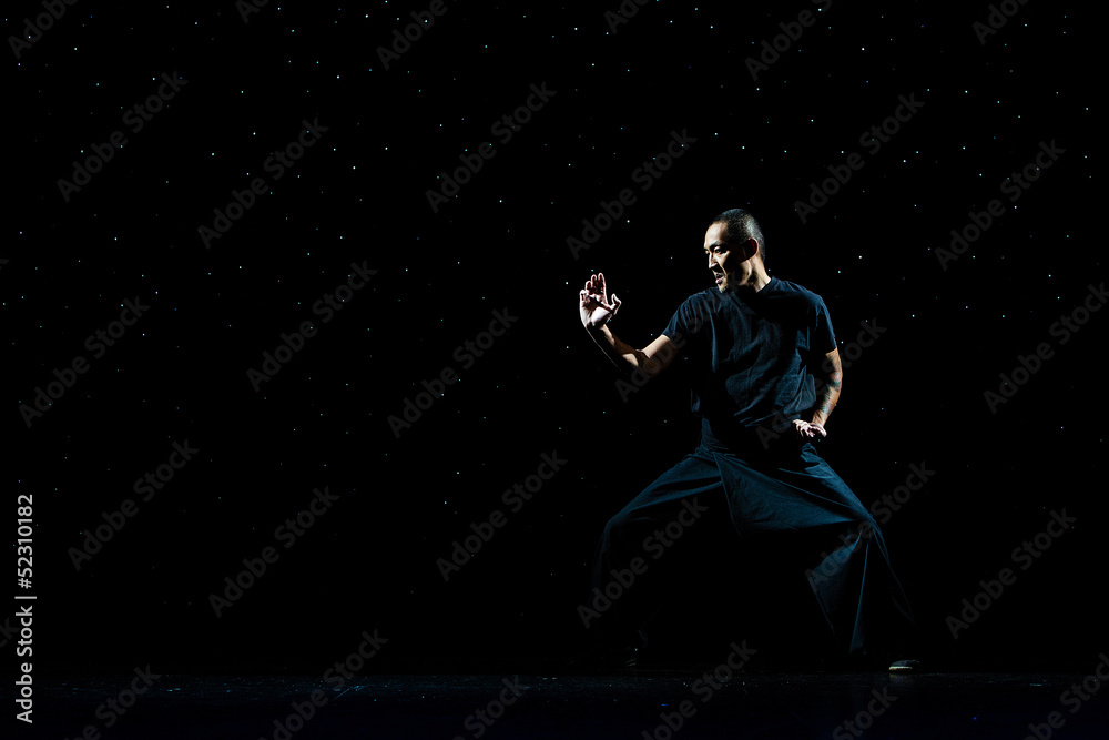 Obraz premium Martial Arts