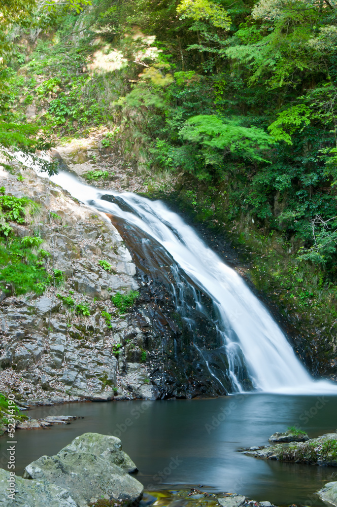 Fototapeta premium 滝と新緑