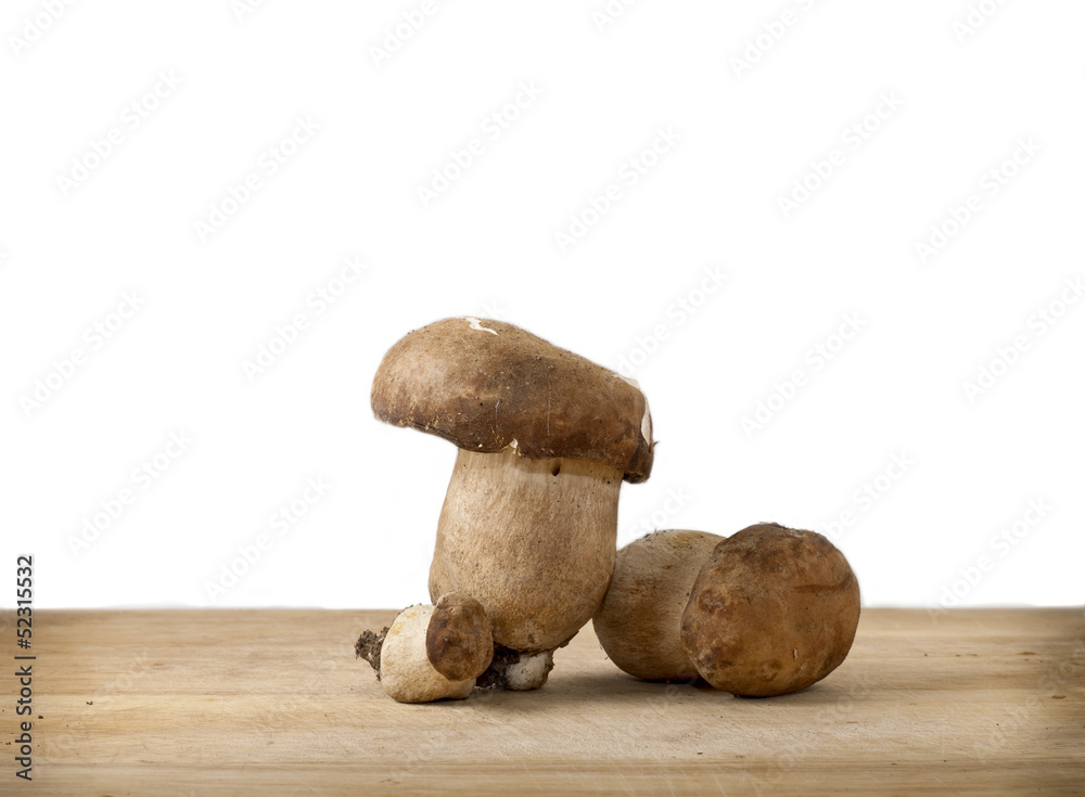 Mushrooms isolated on White Mushrooms isolated on White