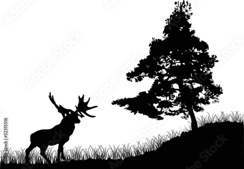 pine tree and deer silhouettes