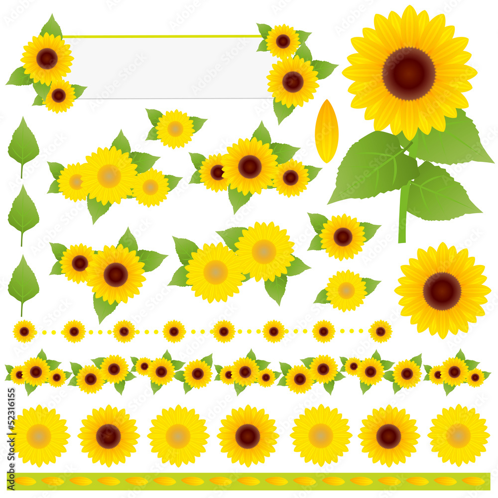 Obraz premium sunflower Material Set