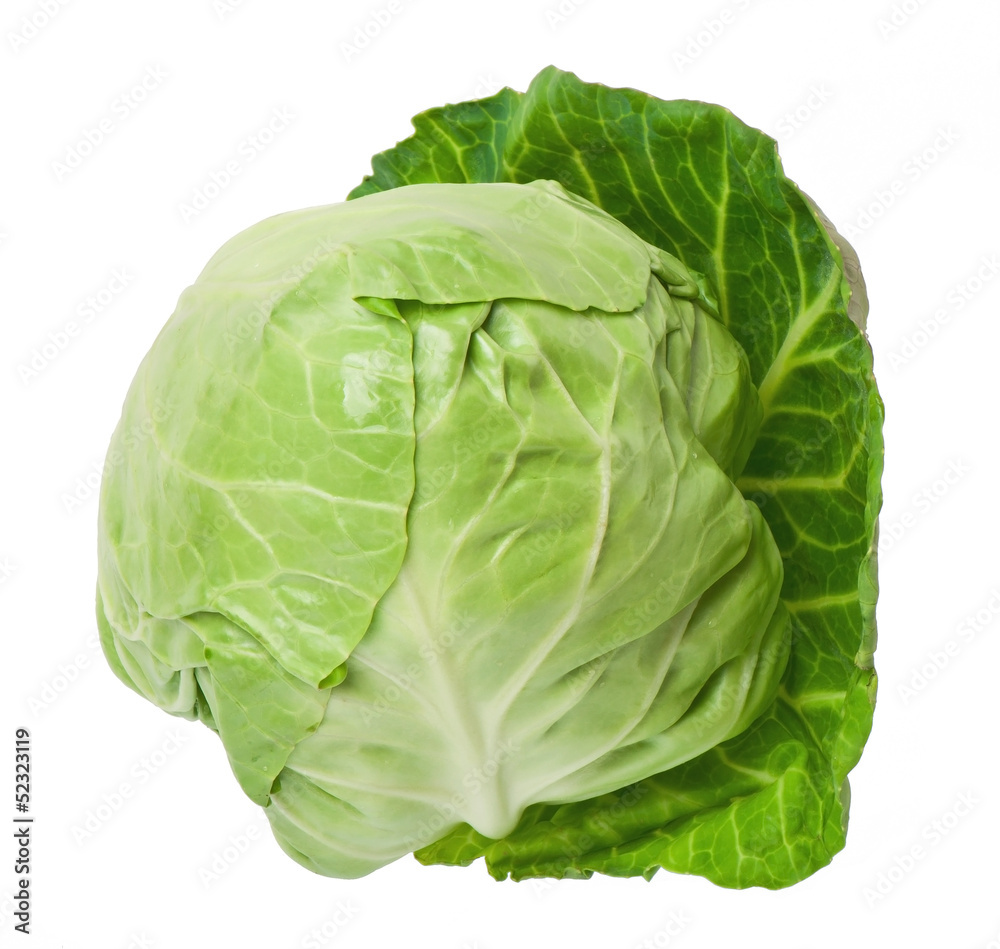 cabbage isolated on white background cabbage isolated on white background