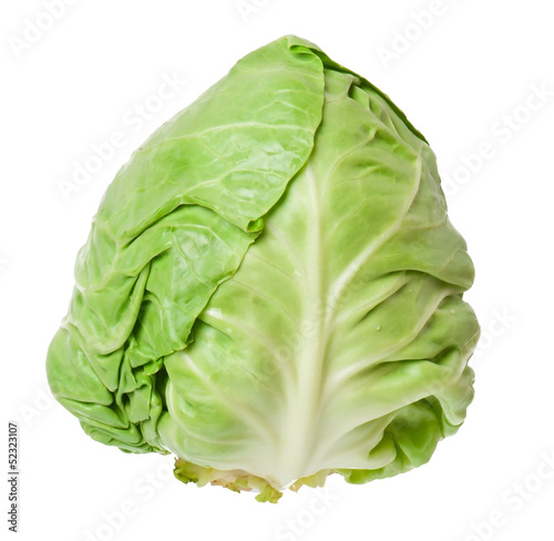 cabbage isolated on white background  