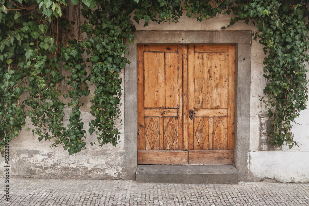 Wooden door overgrown with ivy