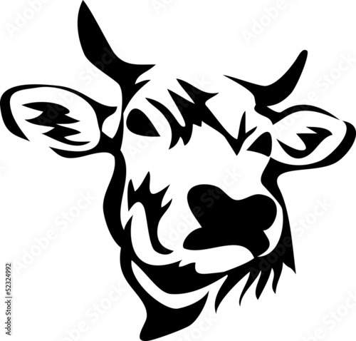 head of horned cow